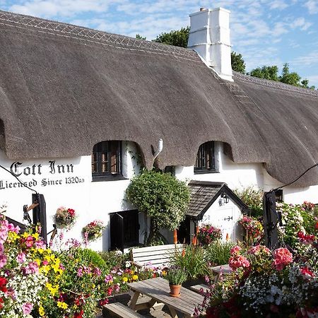 The Cott Inn Totnes Esterno foto