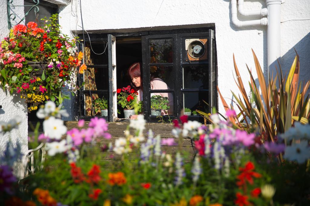The Cott Inn Totnes Esterno foto